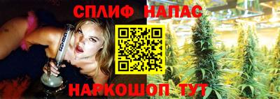 молекула духа Коммунар