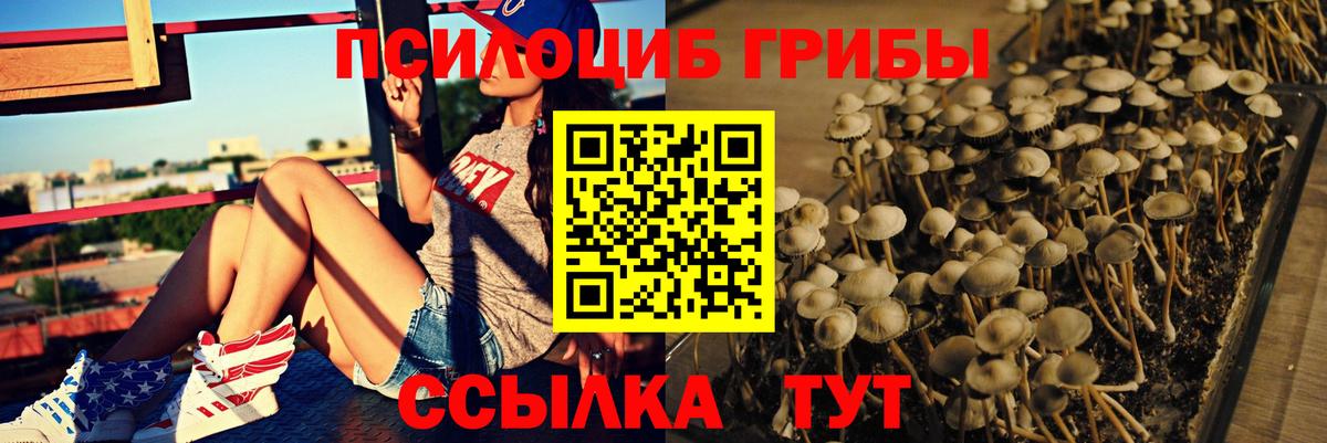 Еманжелинск  Галлюциногенные грибы мухоморы  Вход с VPN  Псилоцибиновые грибы Magic Shrooms 
