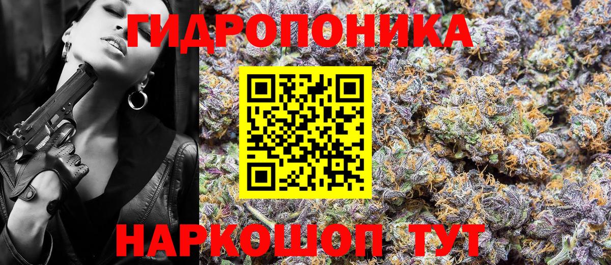 Бошки Шишки конопля Еманжелинск